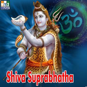 ดาวน์โหลดและฟังเพลง Ohm Namahshivaya พร้อมเนื้อเพลงจาก Sundar