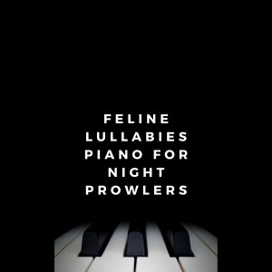 Piano Relaxation Music Masters的專輯Feline Lullabies: Piano for Night Prowlers