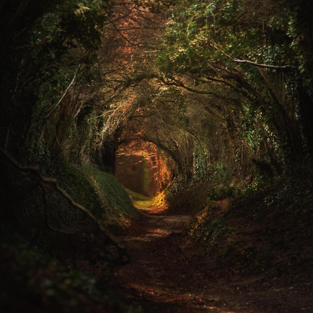 Lost shadows (feat. Zombic, Toby Romeo & Neptunica)