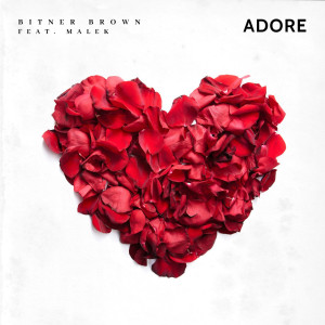 Listen to Adore song with lyrics from Bitner Brown