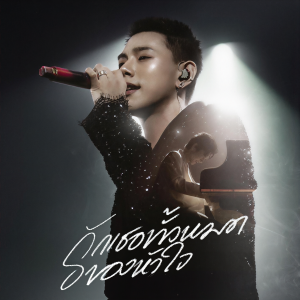 ดาวน์โหลดและฟังเพลง รักเธอทั้งหมดของหัวใจ (For My Brother) พร้อมเนื้อเพลงจาก โต๋ ศักดิ์สิทธิ์