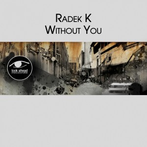 Dengarkan lagu Without You nyanyian Radek K dengan lirik