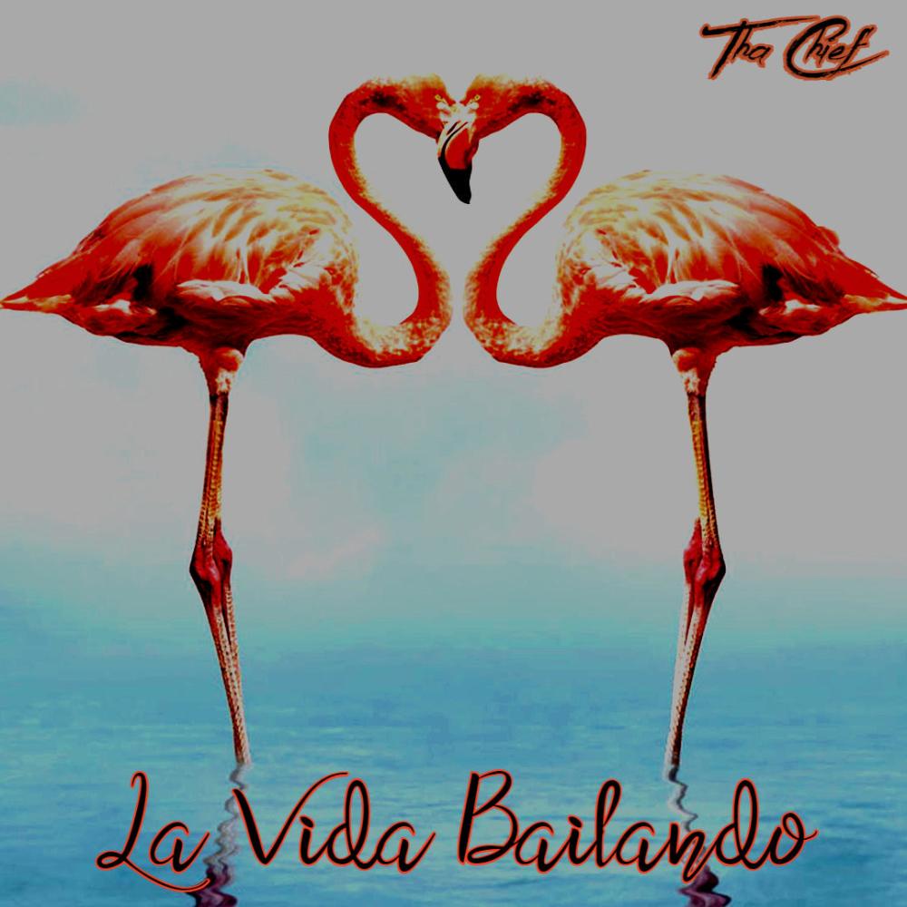 LA VIDA BAILANDO