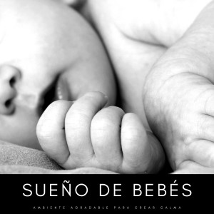 Dengarkan Plácida Escena lagu dari Reiki Armonía dengan lirik