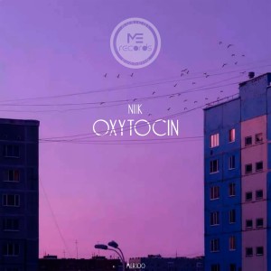 Listen to Past song with lyrics from Niik
