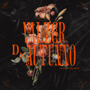Listen to Valzer D'autunno song with lyrics from Moonloverz