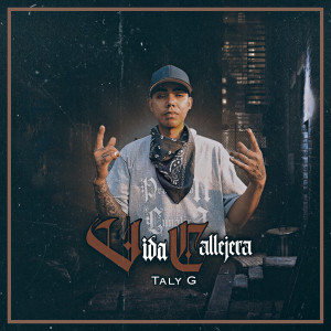 收聽Taly G的Vida Callejera歌詞歌曲