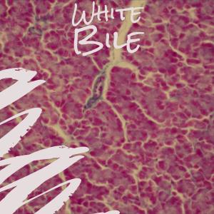 Album White Bile from Various