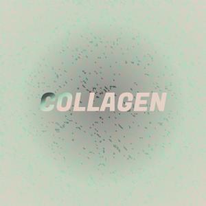Album Collagen from Various