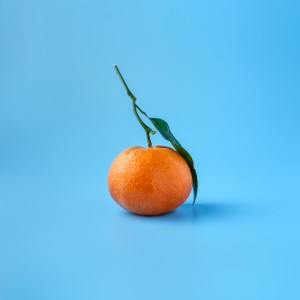 Album Oranges from Kenya Grace