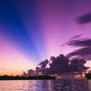 ดาวน์โหลดและฟังเพลง Allow Me To Dream พร้อมเนื้อเพลงจาก Nature Sounds