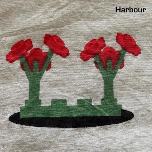 The hyacinth girl dari Harbour