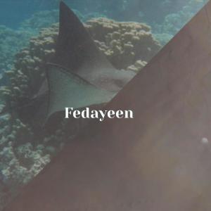 Dengarkan lagu Unscheduled Matter nyanyian Noria Narcy dengan lirik
