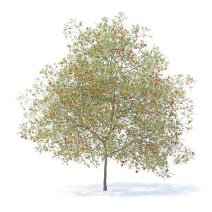 .Gav的專輯is it fear?