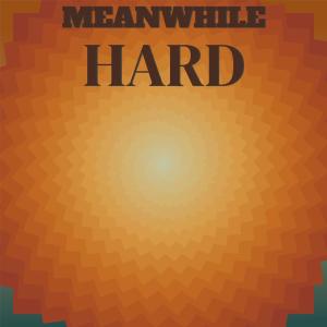 Listen to Meanwhile Hard song with lyrics from Nikey Damar