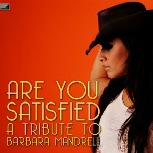 收聽Ameritz Tribute Standards的Are You Satisfied歌詞歌曲