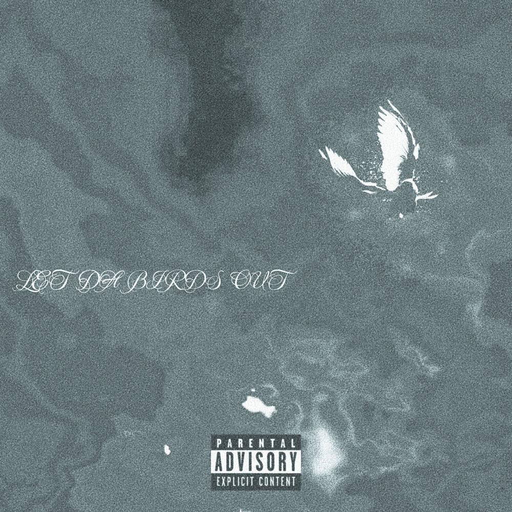 LET DA BIRDS OUT (Explicit)