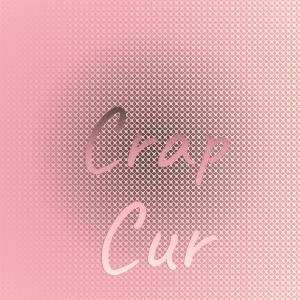 Various Artists的專輯Crap Cur