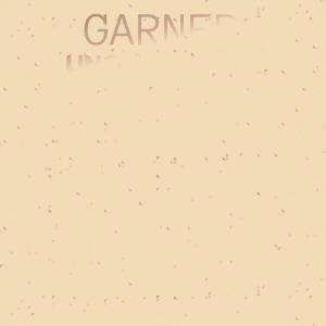 Garner Unconvincing dari Various