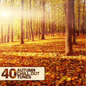 Listen to Shipwrecked (Chill Out Mix) song with lyrics from Mike Foyle