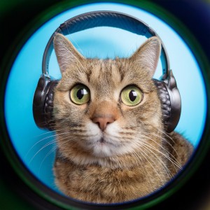 ดาวน์โหลดและฟังเพลง Ciclos De Acordes Armonizados พร้อมเนื้อเพลงจาก Las barbas son mejores