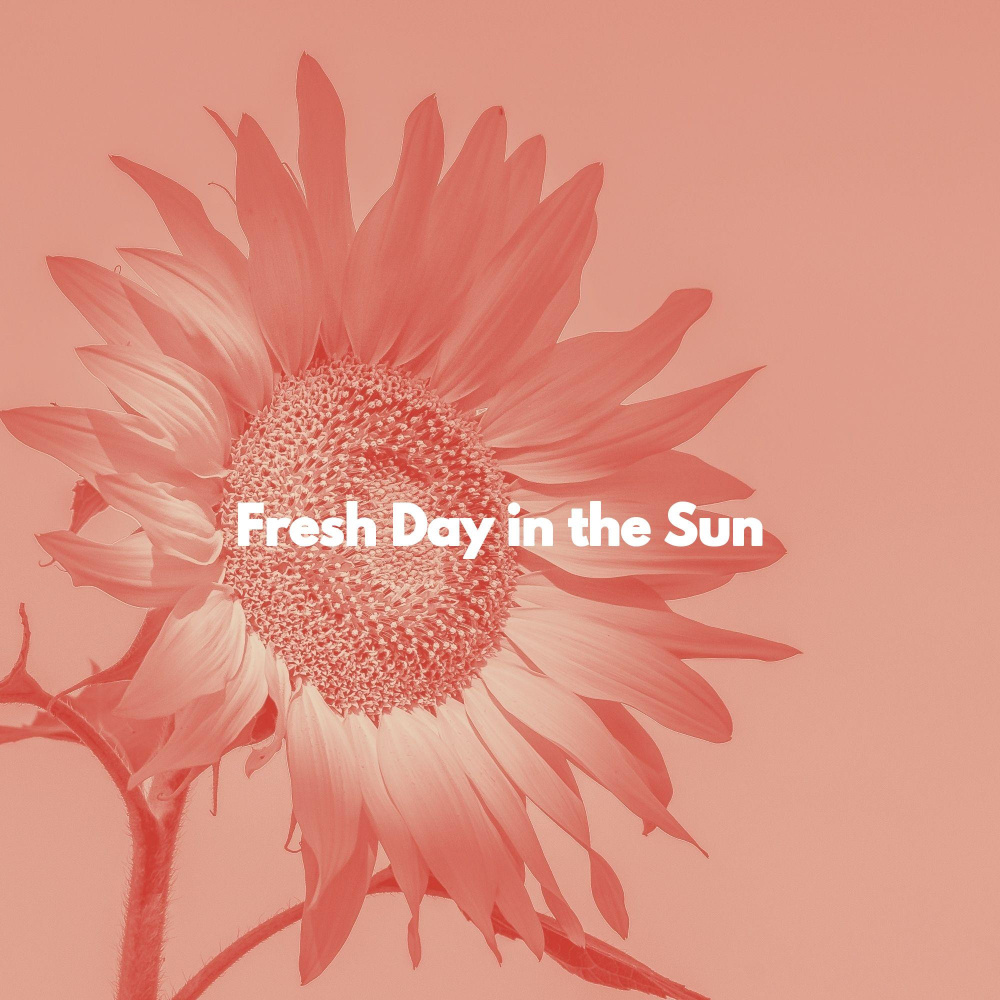 Suave Ambiance for Chillout Monday