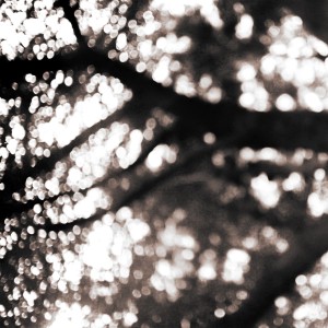Album Before Christmas from 