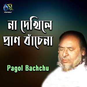 Pagol Bacchu的專輯Na Dekhile Pran Bachena