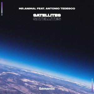 Mr.Animal的专辑Satellites