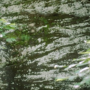 Listen to the lake song with lyrics from James Pratley Watson