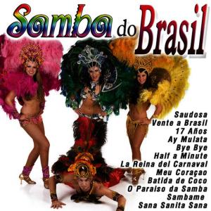 ดาวน์โหลดและฟังเพลง Sana Sanita Sana พร้อมเนื้อเพลงจาก Brasil Dance Conection