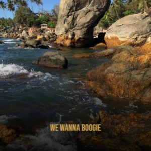 Listen to We Wanna Boogie song with lyrics from Sonny Burgess
