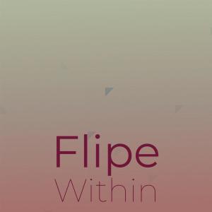 Album Flipe Within from Various