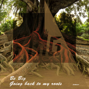 Listen to Going Back To My Roots song with lyrics from Be Big