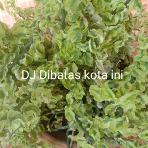 Dengarkan DJ Dibatas Kota Ini lagu dari Herry k dengan lirik