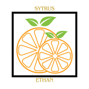 Ethan的專輯Sytrus