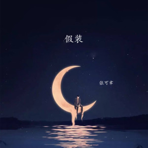 Listen to 假装 song with lyrics from 张可聿