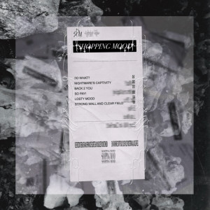 Listen to 收皮 (So Pay!) (Explicit) song with lyrics from AudiBoi