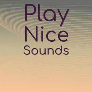 Album Play Nice Sounds from 