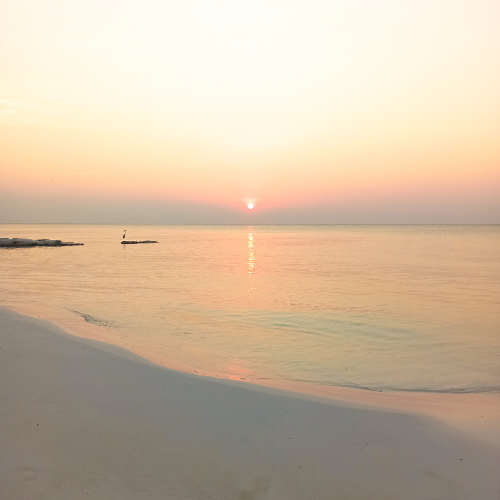 Lo mío es la playa