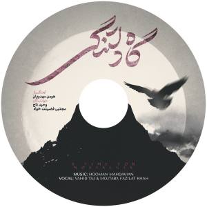 Hooman Mahdaviân的專輯A Time for Nostalgia (Acoustic)