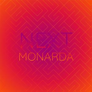 Album Next Monarda from Various