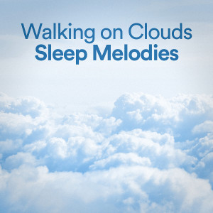 Calm Meditation的专辑Walking On Clouds Sleep Melodies