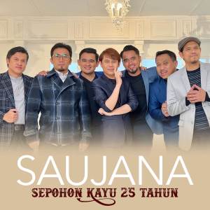Dengarkan lagu Sepohon Kayu 25 Tahun nyanyian Saujana dengan lirik
