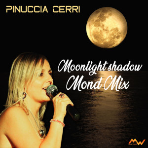 Moonlight shadow / Mond mix