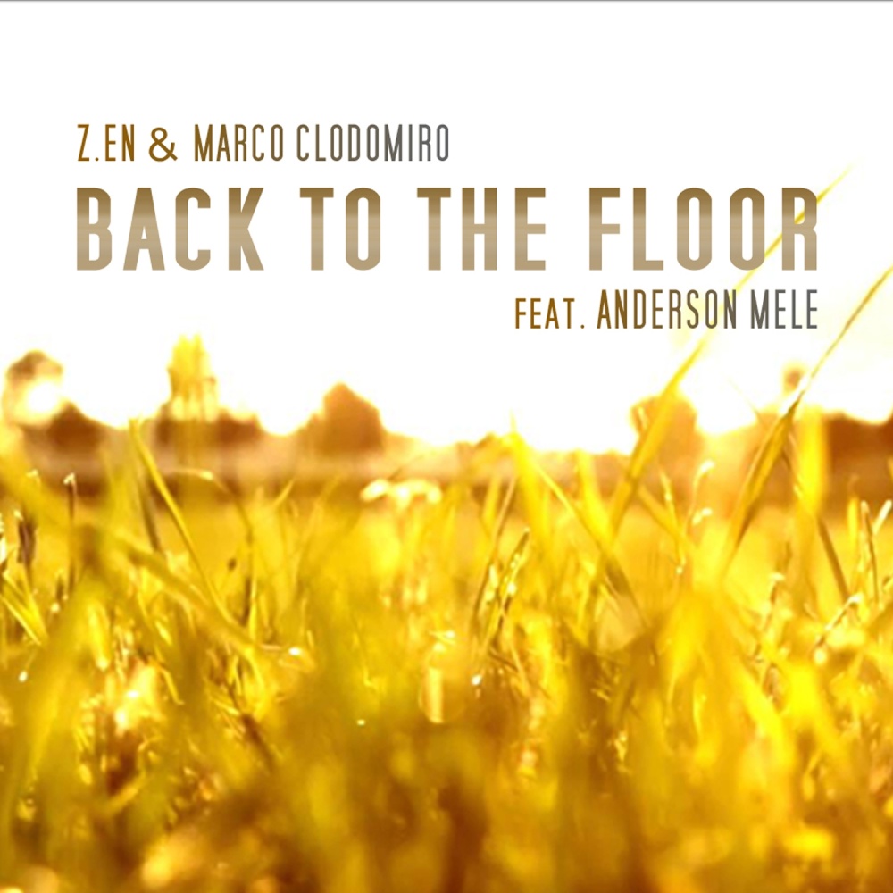 Back to the Floor (Enzo Zagaria Radio Edit)