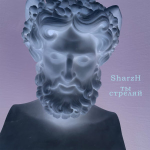 Album Ты стреляй from 