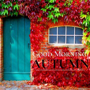 Dengarkan lagu A Harvest of Morning Smiles nyanyian Relax α Wave dengan lirik