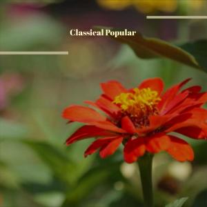 收聽Jete Juster的Delectable Pesach歌詞歌曲