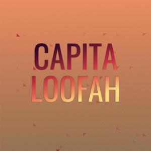 Various Artists的專輯Capita Loofah